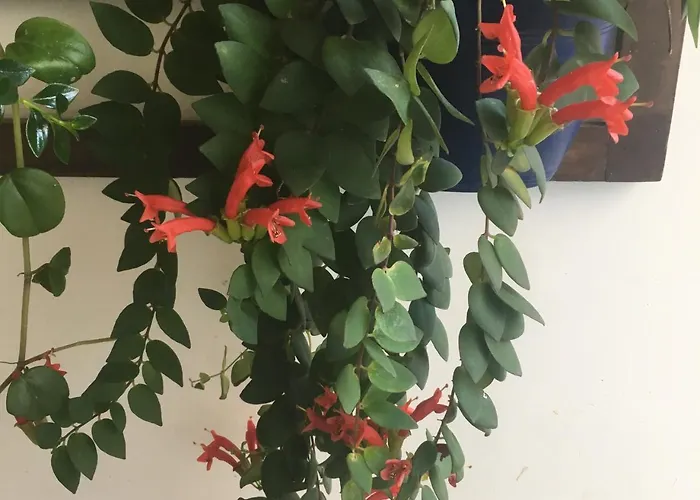 Pousada Bertioga
